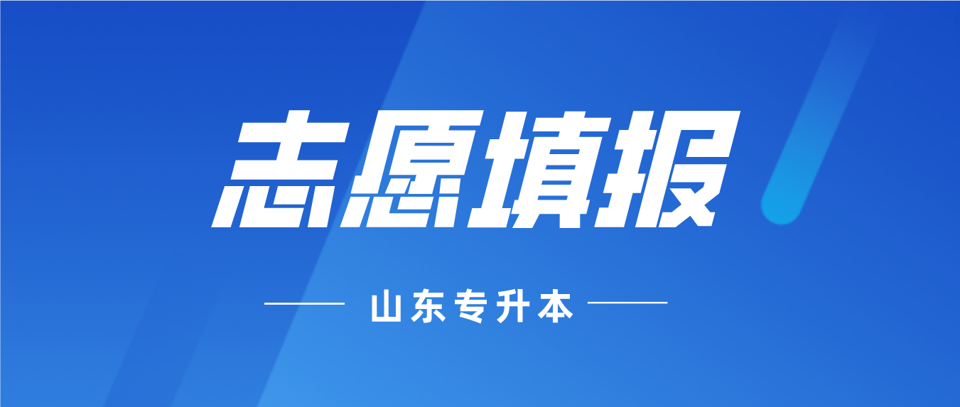 山东专升本可以填报多少个志愿？