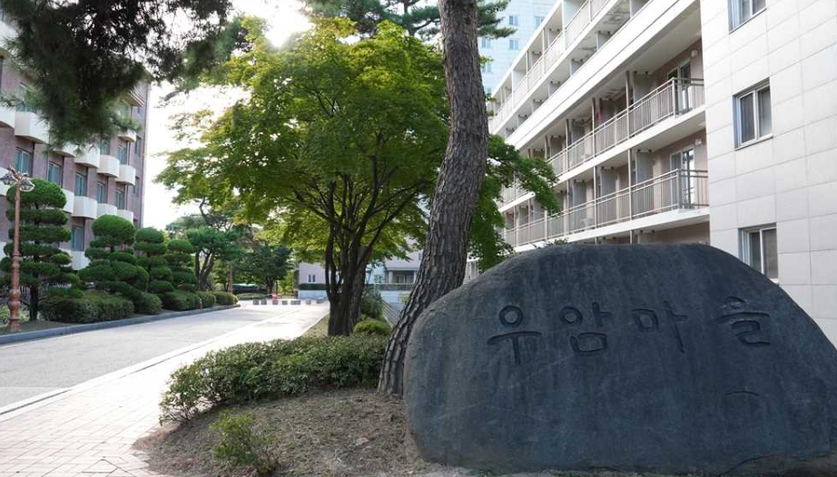 专科计算机专业可申请1年制韩国留学专升本申请条件