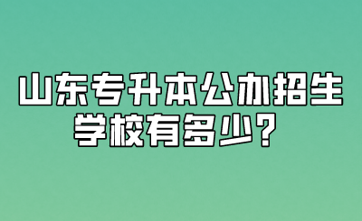 山东统招专升本公办招生学校有多少？(图1)