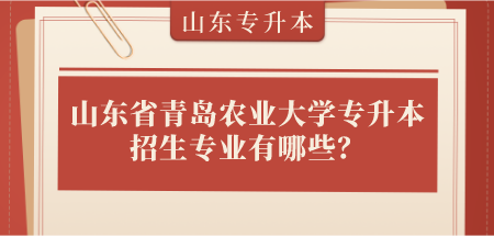 山东省青岛农业大学专升本招生专业有哪些？(图1)