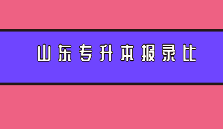 2021年山东统招专升本报考人数和录取人数