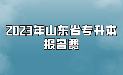 2023年山东省专升本报名费