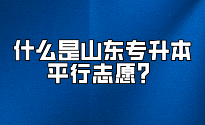 什么是山东统招专升本平行志愿？