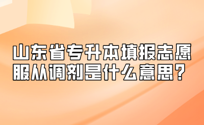 山东省专升本填报志愿服从调剂是什么意思？