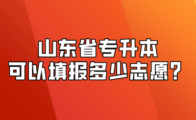 山东省专升本可以填报多少志愿？