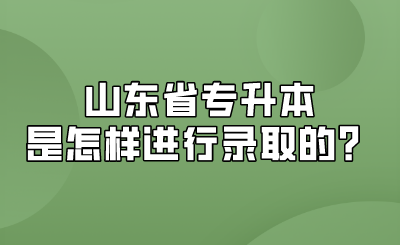 山东省专升本是怎样进行录取的？