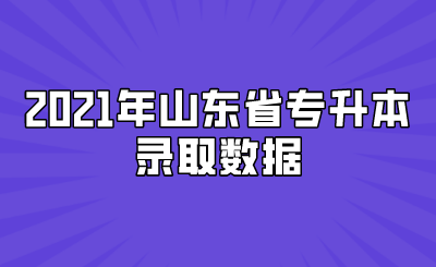 2021年山东省专升本录取数据