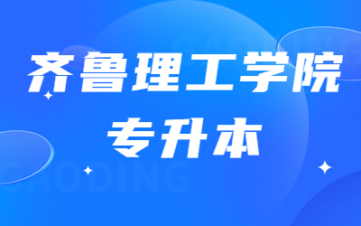 2023年齐鲁理工学院专升本退役大学生士兵录取结果查询(图1)