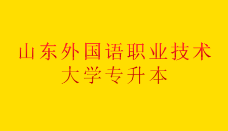 2023年山东外国语职业技术大学专升本招生简章